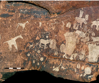 Bild zu Geschichten aus der Steinzeit. Felsbildforschung in Namibia
