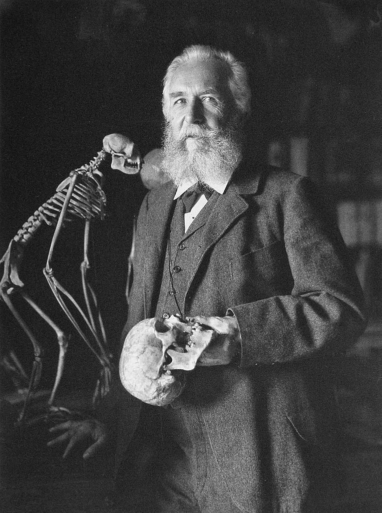 Porträt von Ernst Haeckel, Photographische Gesellschaft, 1906